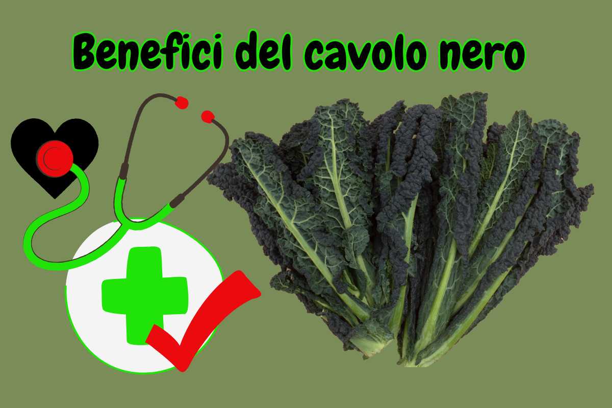 Benefici del cavolo nero