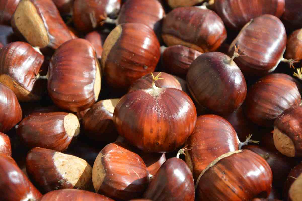 Castagne