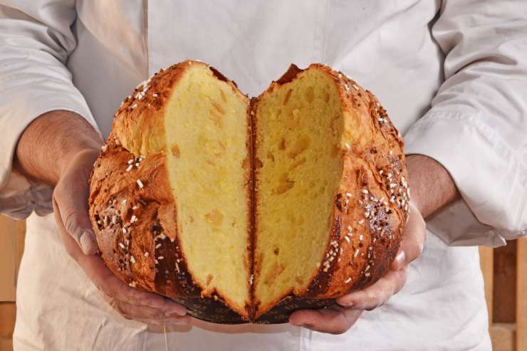 Panettoni