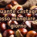 castagne al giorno