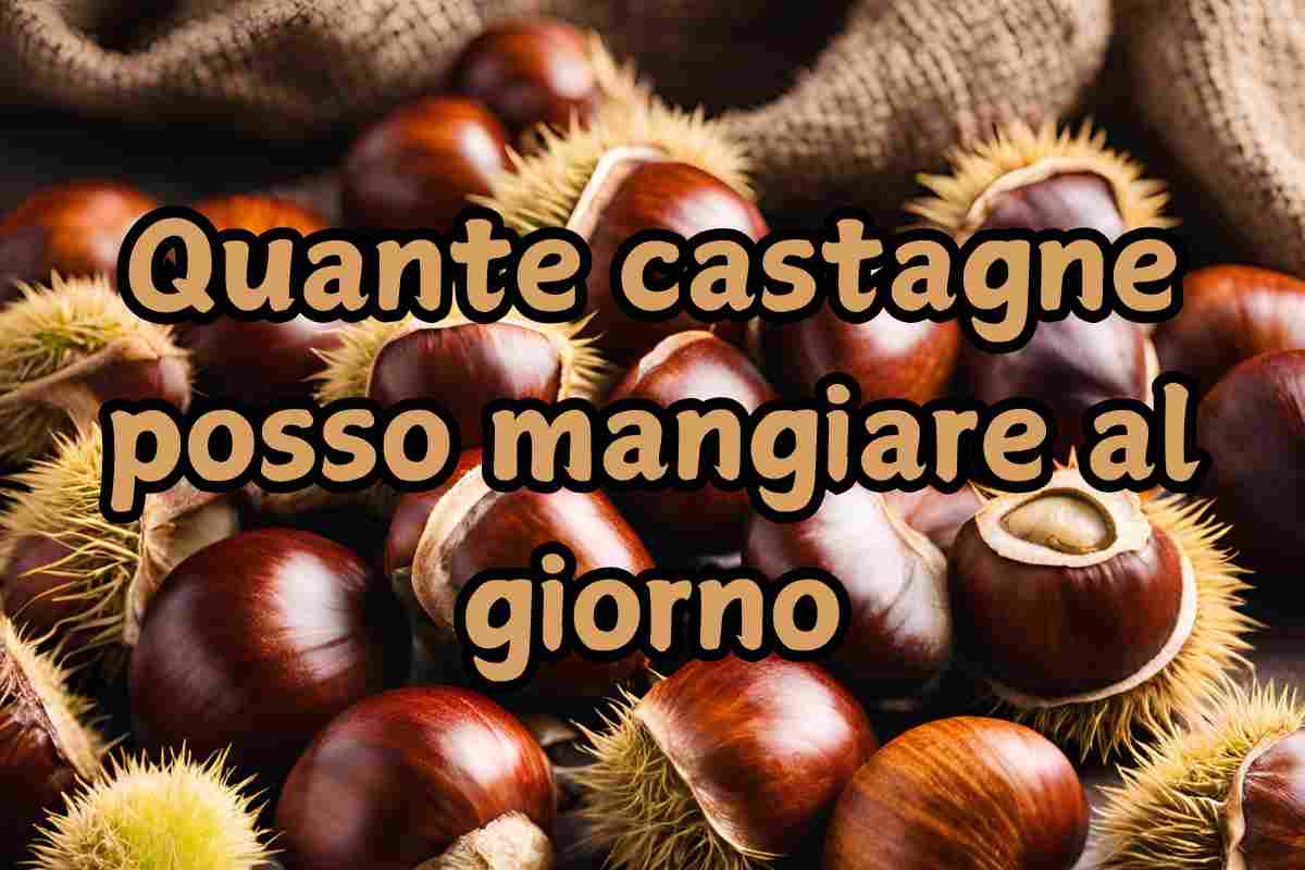 castagne al giorno