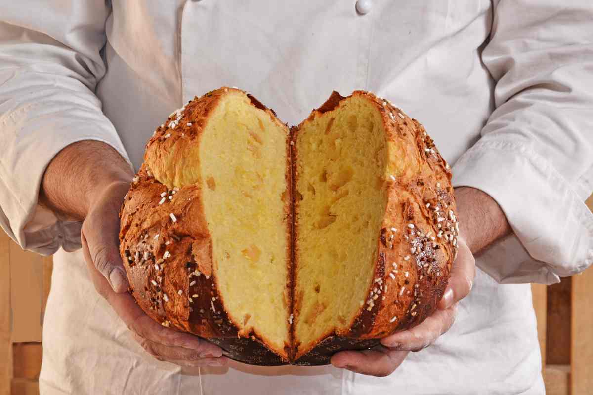 Cuoco con panettone 