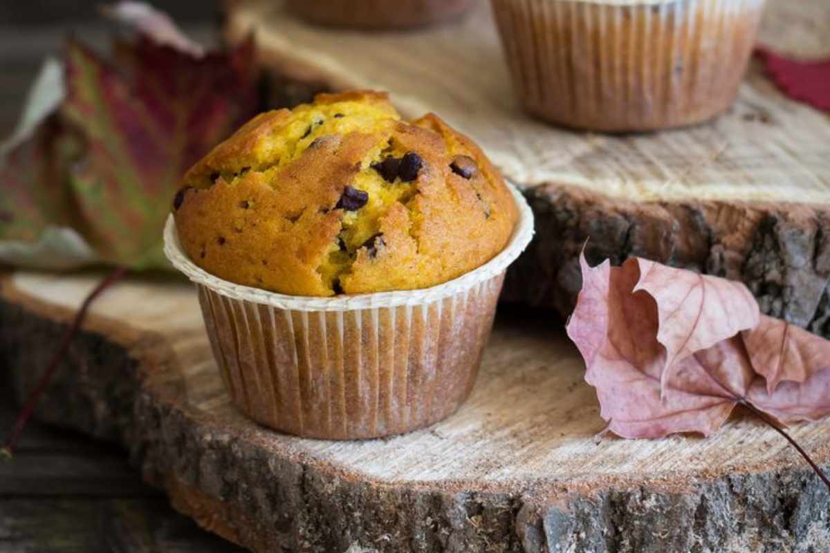 Muffin zucca