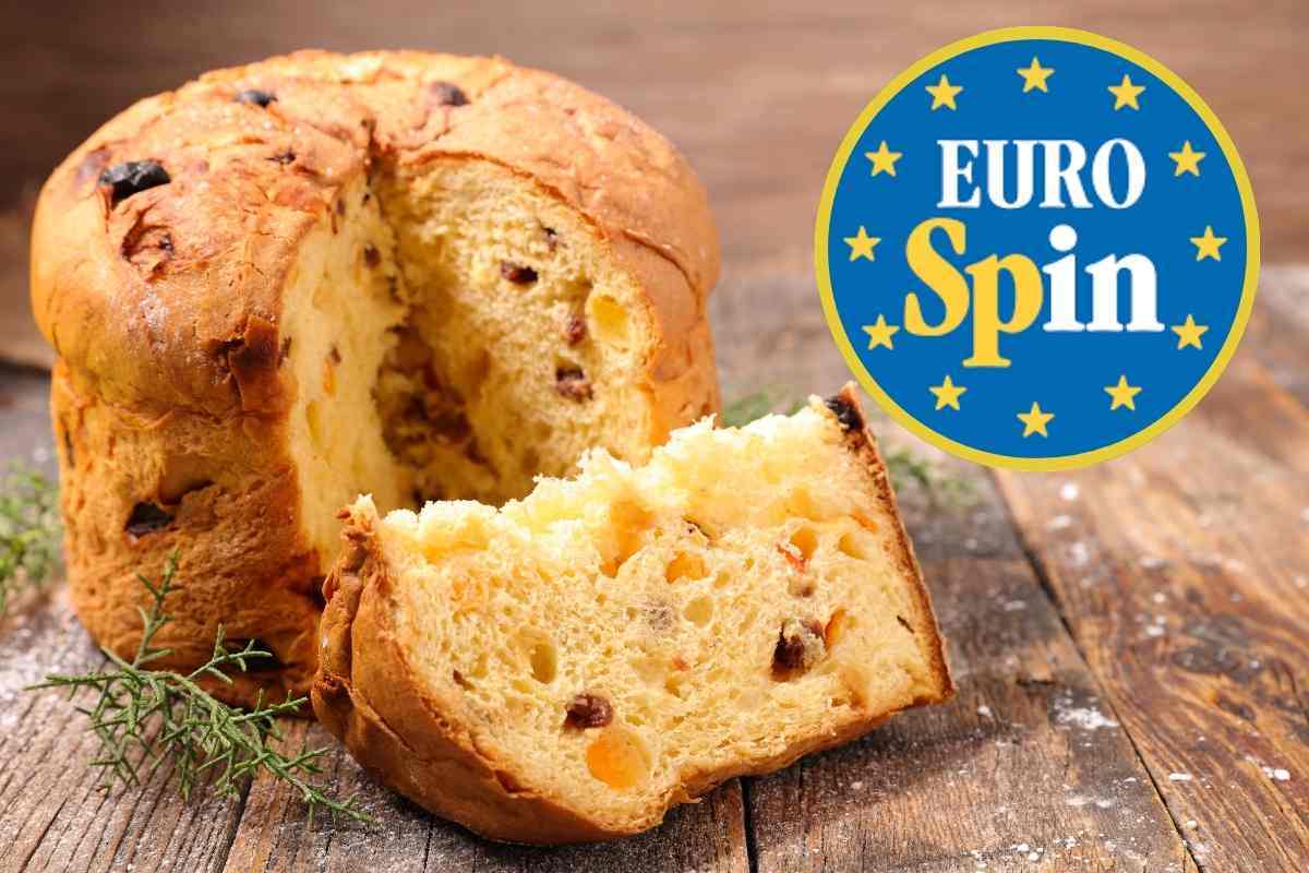 Panettone Eurospin