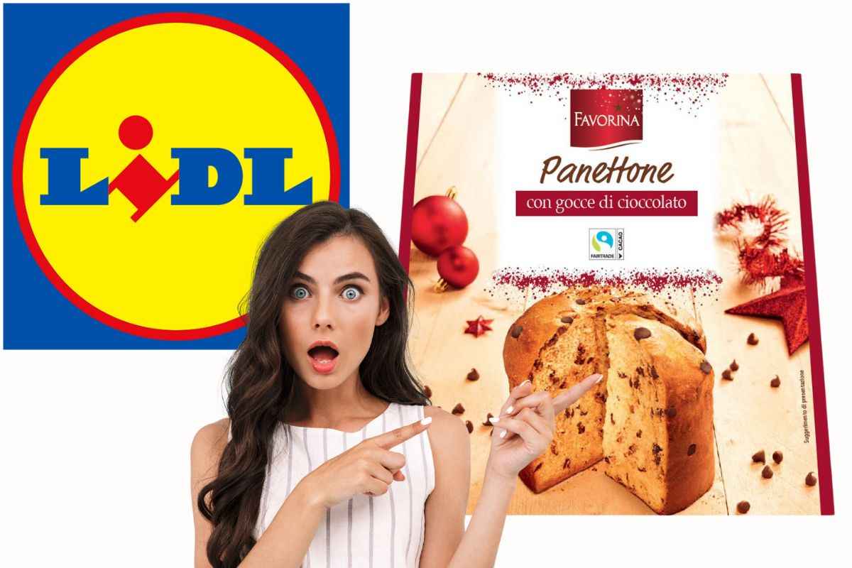 Panettone Lidl