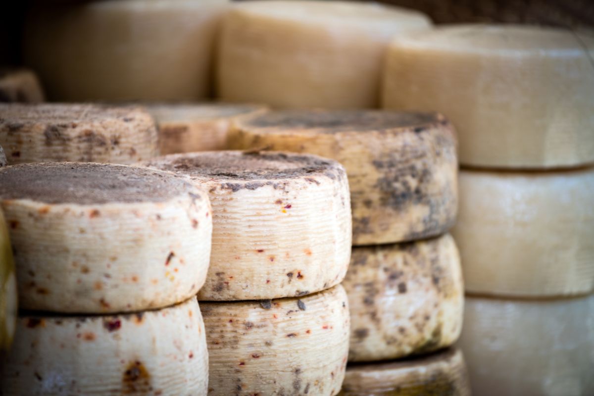 Pecorino Sardo