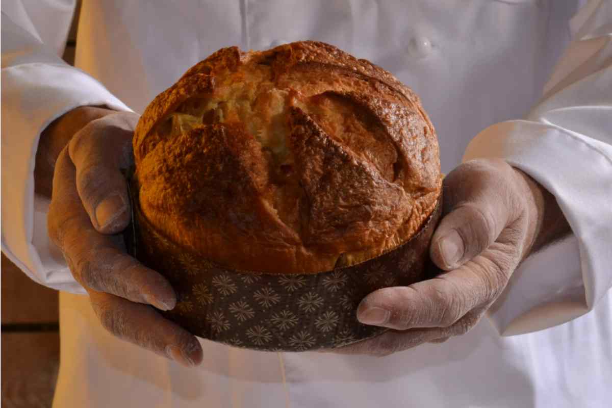 pasticcere con panettone