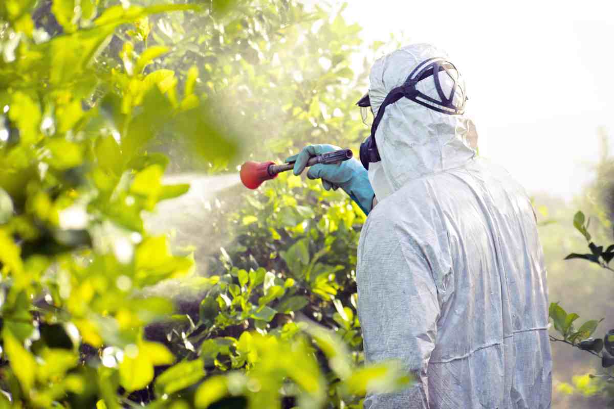 Uomo che spruzza dei pesticidi