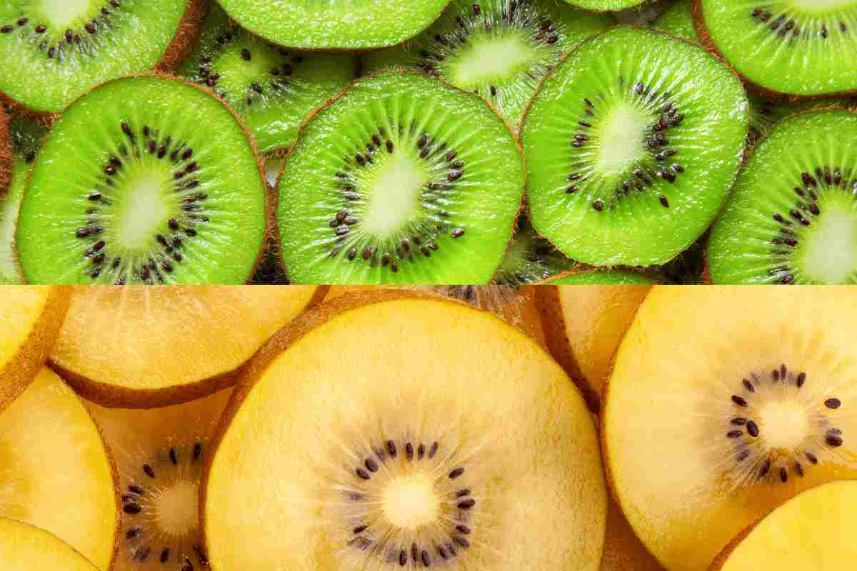 Kiwi giallo e kiwi verde