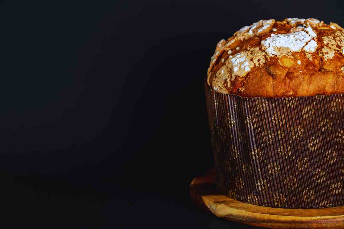 Panettone 