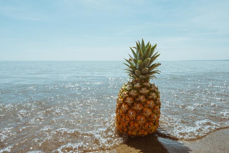 ananas mare