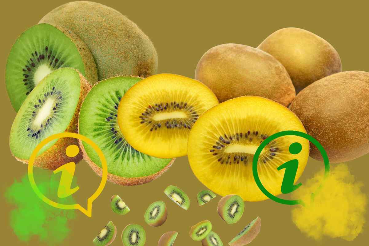 differenze Kiwi giallo e kiwi verde