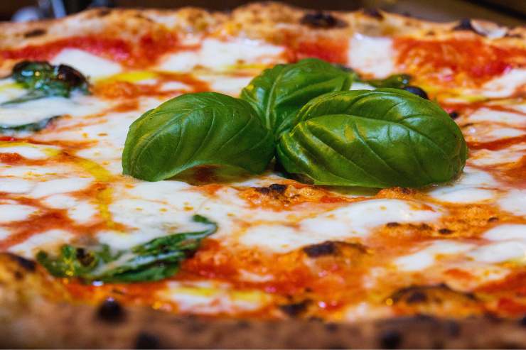 pizza margherita 